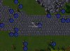 Elf Raid.jpg Elf Raid.jpg
