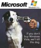 Dogvista.jpg Dogvista.jpg
