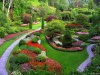 Butchart.gardens.jpg Butchart.gardens.jpg