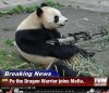 Dragon-Panda-Is-Master-Of-The-Machine-Gun.jpg