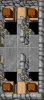 bug2.jpg
