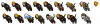 all.png