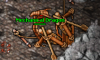 X1inKKv.png