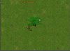 Addon Doll.jpg