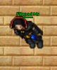 v8GVvjk.png