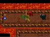 tibia.jpg