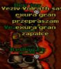 1375107151ve.jpg