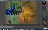 flw traping 3.jpg