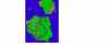 upload_2013-9-24_11-7-3.png