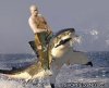 putin.jpeg