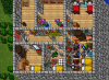 House 5.PNG