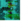 MCREPORT.png