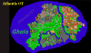 Ghala-town.png