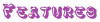 features.png