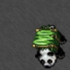 PANDA.png