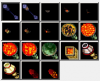 lightpalette.png