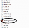 tfs.png