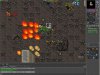 bug.JPG