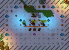 tibia1.png