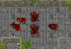 aaa.png