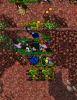 s`papasopasoas.png