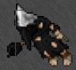 ugly out.JPG