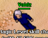 druid2 pic.png
