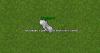 2.png 2.png
