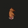 bred.gif