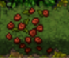 plant.png