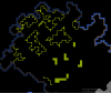 another swamp.png