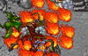 game.png game.png