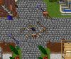 helera.jpg