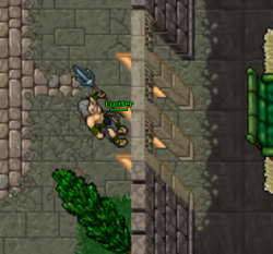 tibia.png tibia.png