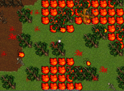 forest dragon.png