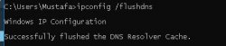 flushed dns.JPG