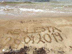 56593697_837558449953295_7020095981995687936_n.jpg 56593697_837558449953295_7020095981995687936_n.jpg