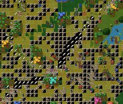 37217 37217