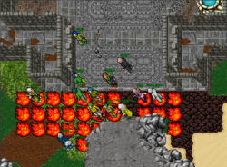 37502 37502