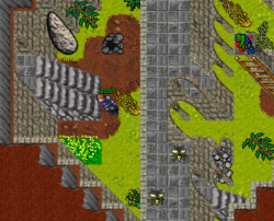 15.png