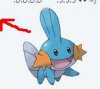 piccc.JPG