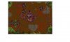 demon oak.JPG