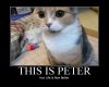peter3.jpg