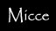 members_nimet_micce.jpg