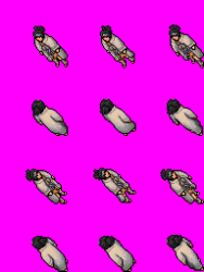 ANKO_FINALSET.png