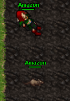 amazon2.PNG