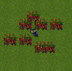 spell-2.gif spell-2.gif