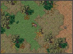 I-29-07-16-13.png