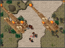old barbarian - inspired by shikaro.png