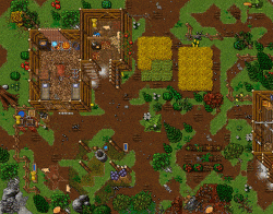 Untitled-4.gif